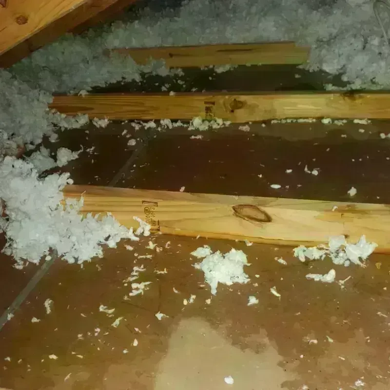 Attic Water Damage in Sebastopol, CA